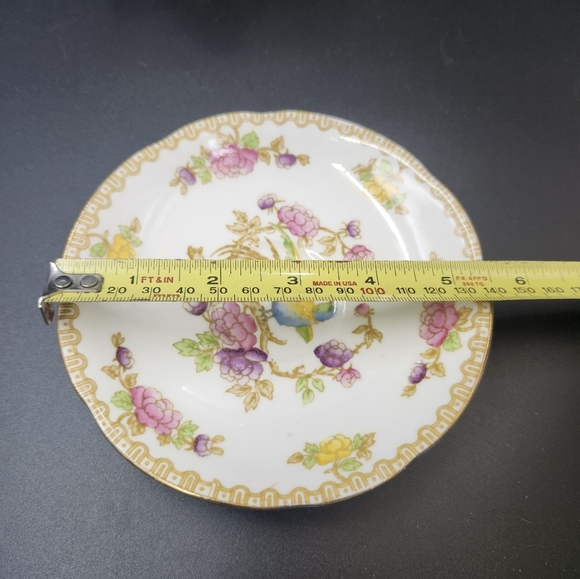 Royal Standard " Bird of paradise" Tea cup and saucer from 1930-1949 - Picture 12 of 12